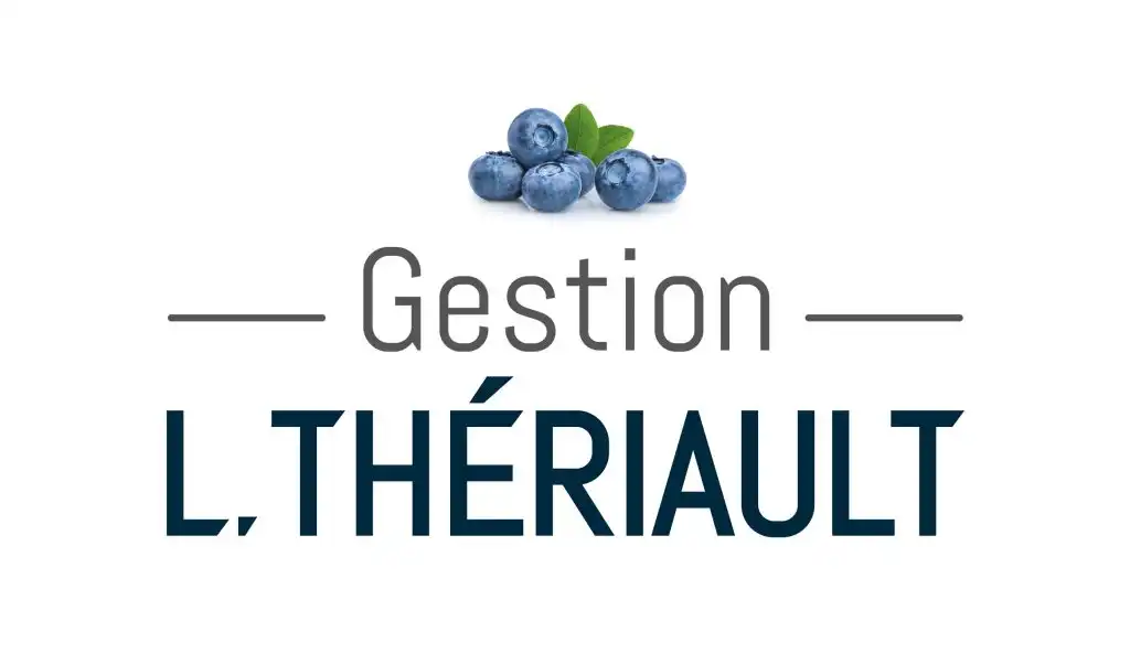 RGB Logo–Gestion L.Thériault 01 1024x592 400x400